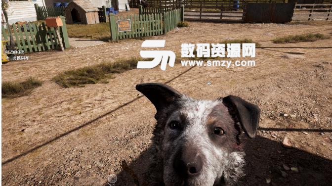 孤島驚魂5游戲攻略