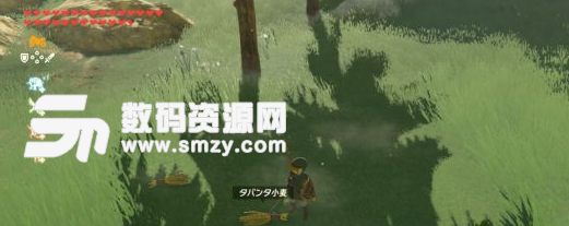 塞爾達傳說荒野之息砍草可獲得食材說明