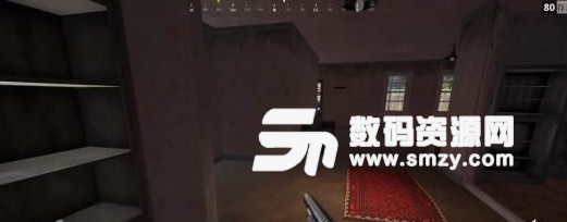 絕地求生FPP模式與TPP模式區別解析