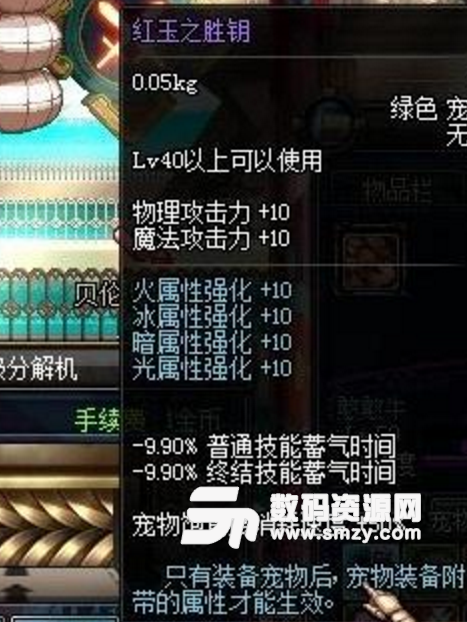DNF滿寵物裝備有必要嗎