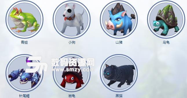 永恒魔法之全職覺醒