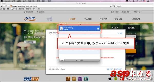 支付寶,安全控件,MAC