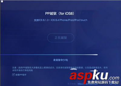 pp助手