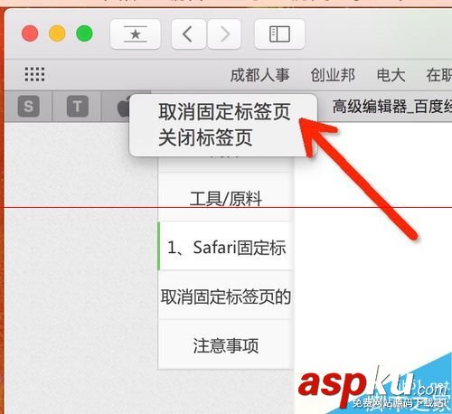 mac,safari,關閉標簽,safari打不開網頁