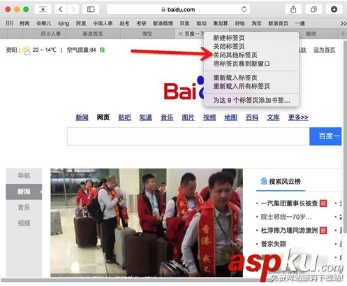 Mac,safari標簽