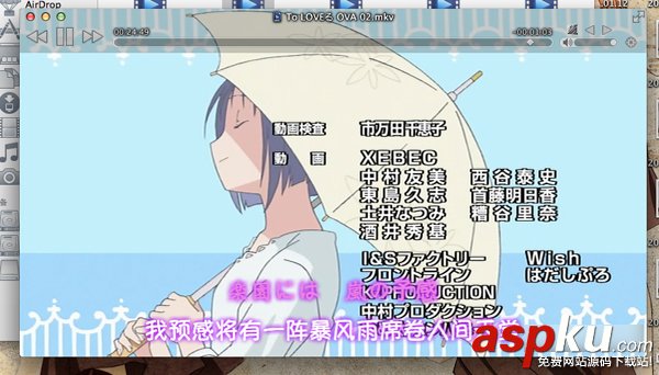 mac,視頻播放器,評測