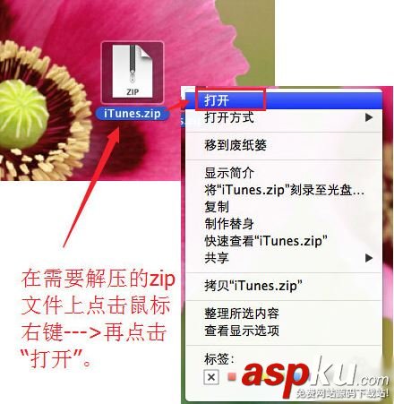壓縮文件,mac