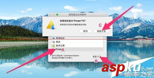 蘋果,Mac,語言