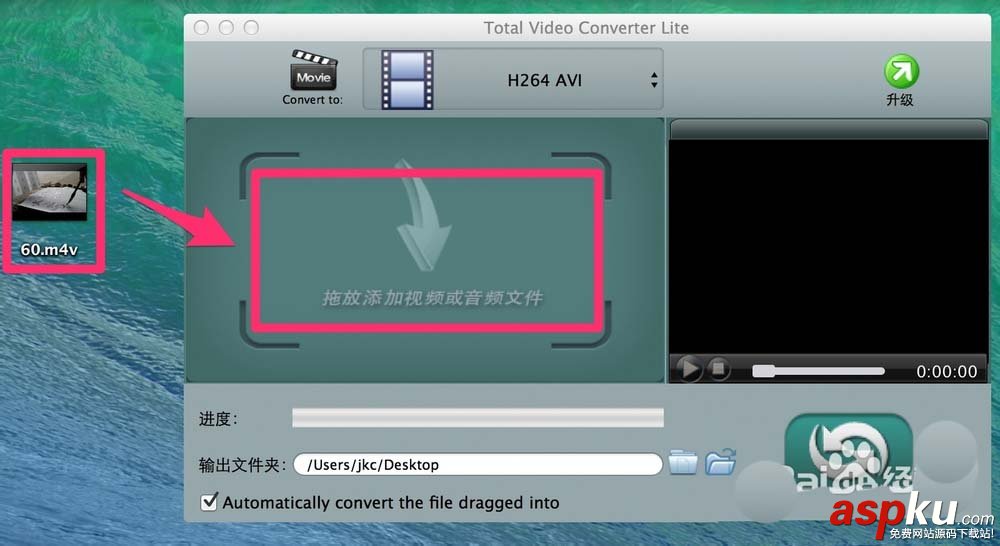 Mac,視頻,格式