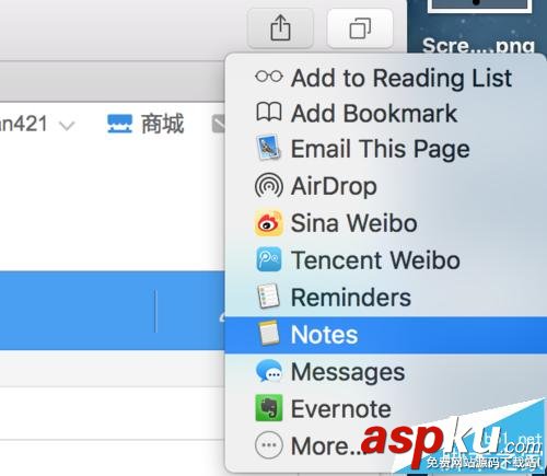 Safari瀏覽器,Notes