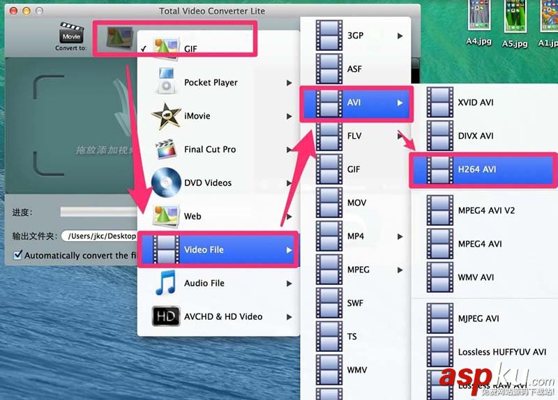 Mac,視頻,格式
