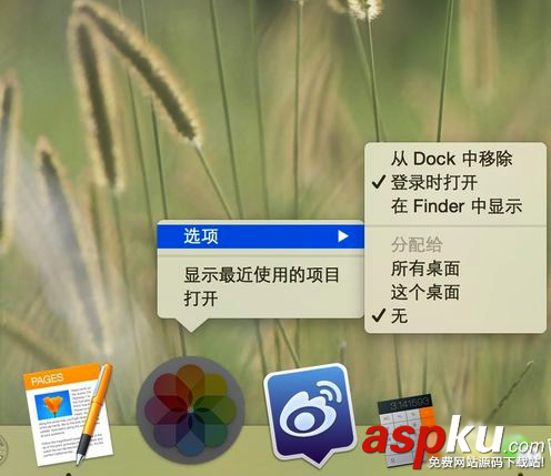 Mac,應用程序,開機自啟