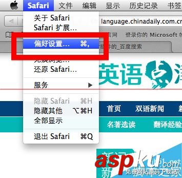 mac,safari,flash插件,插件,safari手勢插件