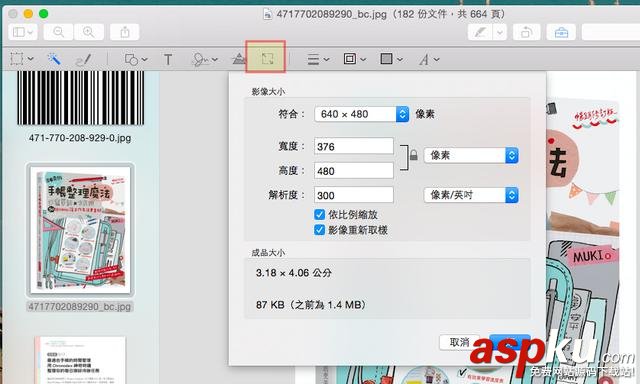 13招,Mac,預覽,app