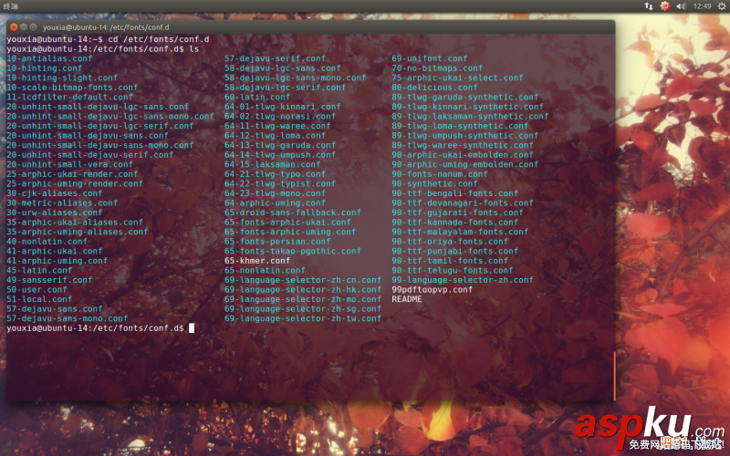 Linux折騰記,Ubuntu,14.10,使用Windows字體