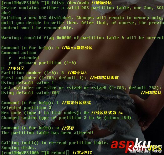 CentOS,VPS,硬盤分區,硬盤掛載