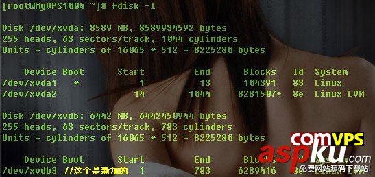 CentOS,VPS,硬盤分區,硬盤掛載