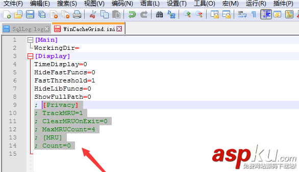 Notepad,代碼,注釋