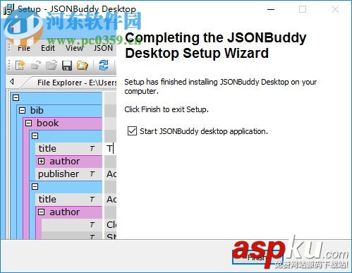 JSONBuddy,安裝