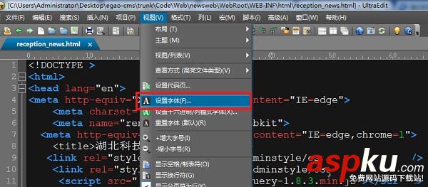 ultraedit,字體
