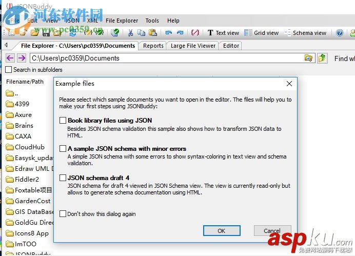 JSONBuddy,安裝