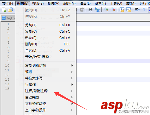Notepad,代碼,注釋