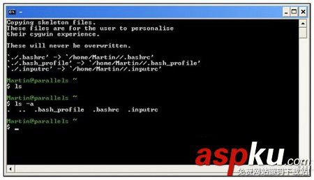 cygwin
