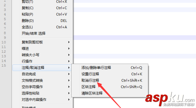 Notepad,代碼,注釋
