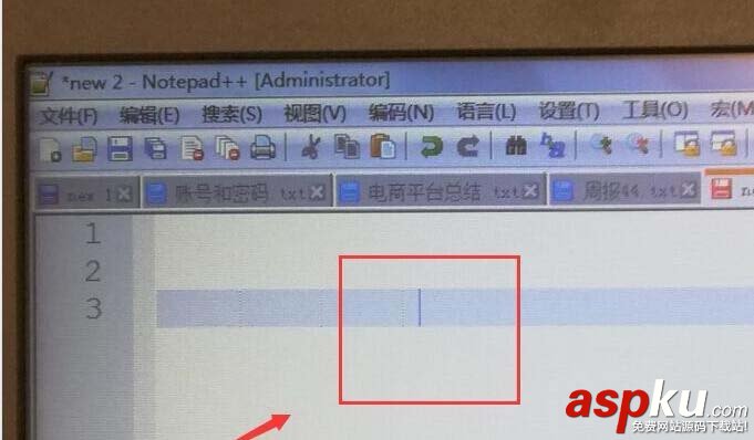 notepad++,光標,下劃線