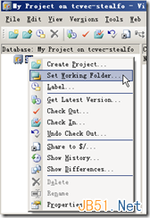 Microsoft,Visual,Source,Safe,2005,VSS,安裝使用