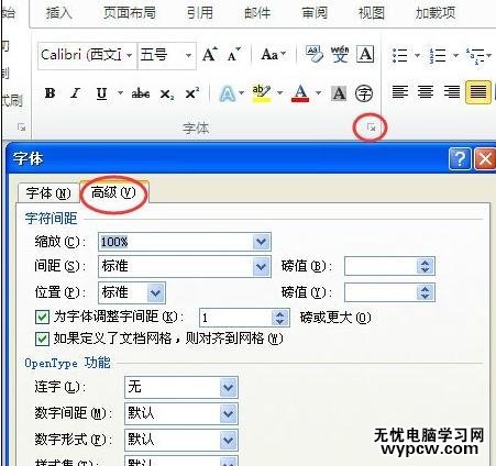 word2010中介紹選項卡的功能