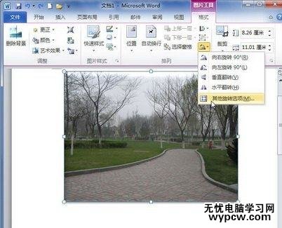 word2010中旋轉圖片的兩種方法