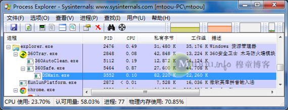 微軟Process Explorer進程管理工具對DSMain.exe的檢測