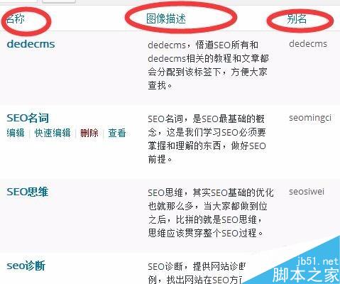 wordpress標簽如何使用