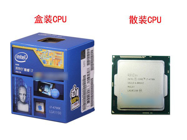 CPU盒裝和散裝哪個好 cpu散裝和盒裝的區別