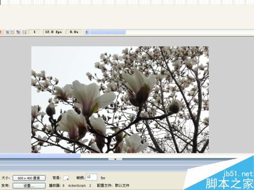 圖片橢圓擴展效果制作方法