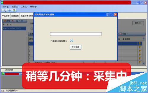 阿里巴巴國際站關鍵詞關鍵詞一鍵采集和分析