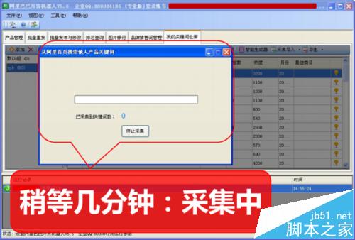 阿里巴巴國際站關鍵詞關鍵詞一鍵采集和分析