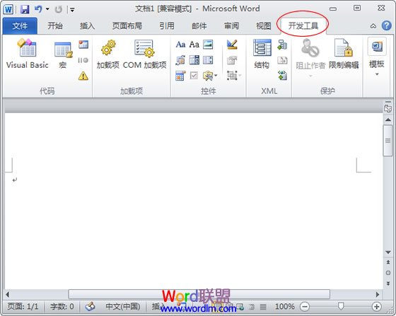 開發工具選項卡