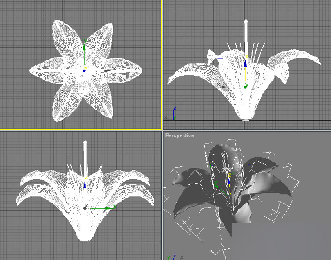 3dmax制作純潔百合花 武林網 3dmax教程