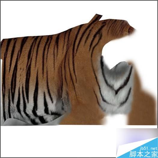 3dsmax制作超逼真的老虎  武林網 3dsmax教程