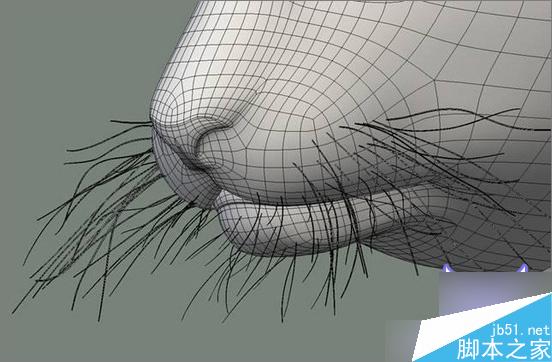 3dsmax制作超逼真的老虎  武林網 3dsmax教程