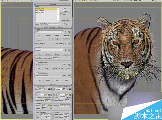 3dsmax制作超逼真的老虎  武林網 3dsmax教程