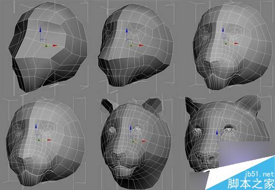 3dsmax制作超逼真的老虎  武林網 3dsmax教程