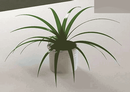 3DSMAX制作室內效果圖 武林網 3DSMAX室內教程