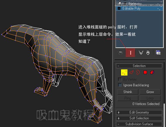 3ds MAX實例教程：多邊形建模小狗,破洛洛