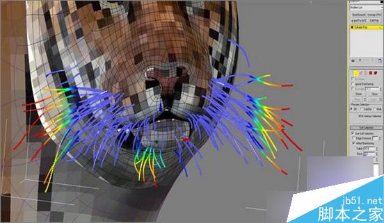 3dsmax制作超逼真的老虎  武林網 3dsmax教程