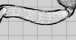 深入了解3DMAX建模技術--螞蟻實例（下）