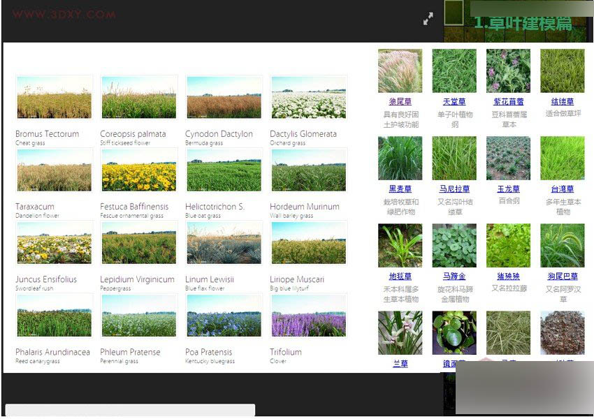 3DMAX詳細解析真實草地效果圖制作教程,PS教程,思緣教程網