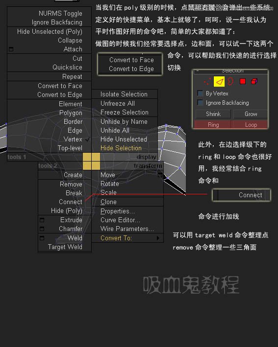 3ds MAX實例教程：多邊形建模小狗,破洛洛